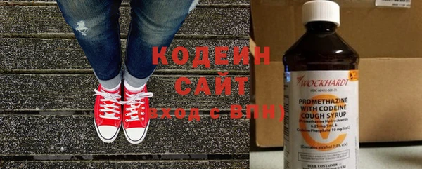 трава Белокуриха
