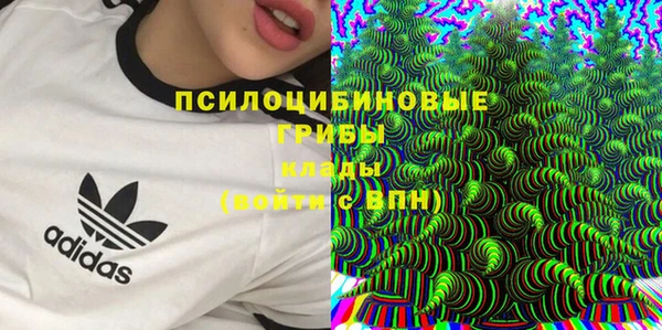 СК Беломорск