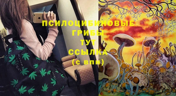 трава Белокуриха